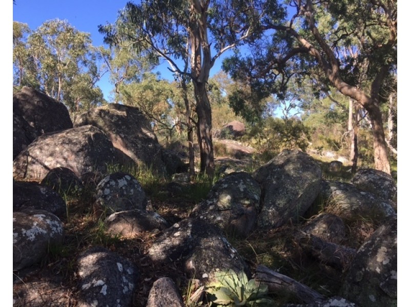 180 Maryland Road, Liston NSW 2372