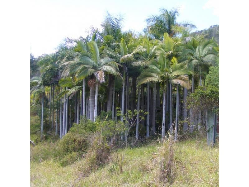 121 Golden Valley Road, Bonogin QLD 4213