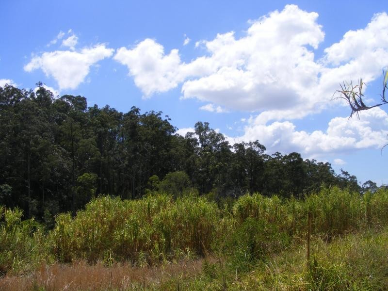 121 Golden Valley Road, Bonogin QLD 4213