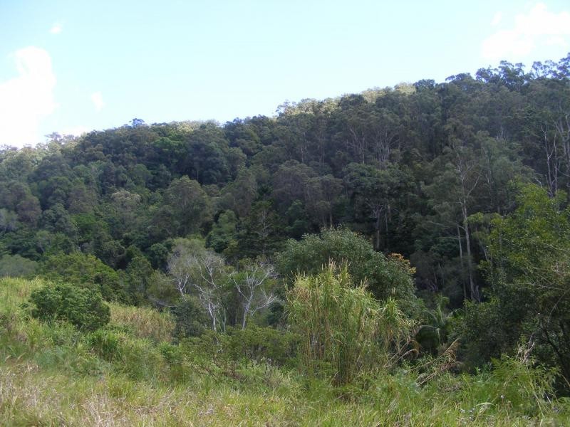 121 Golden Valley Road, Bonogin QLD 4213