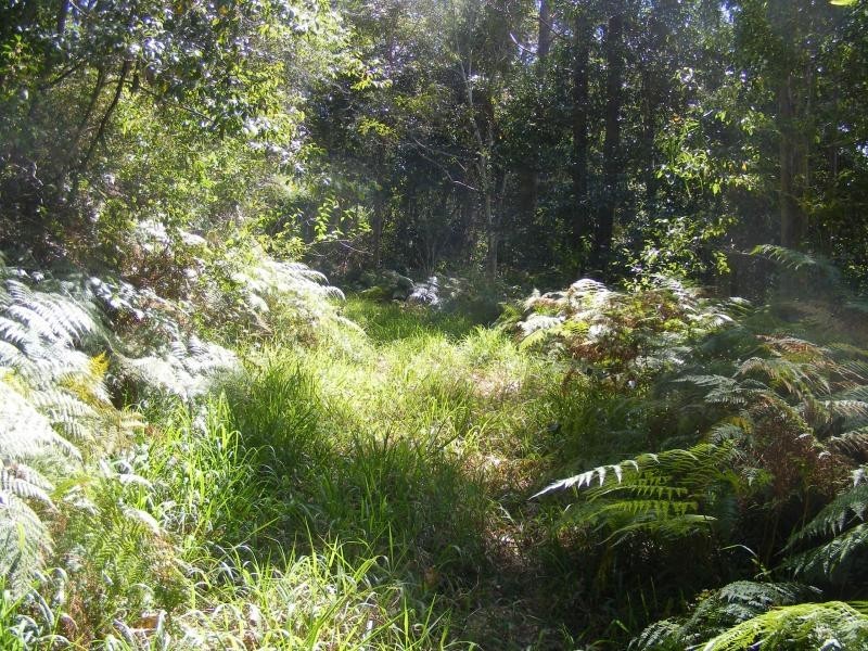 121 Golden Valley Road, Bonogin QLD 4213