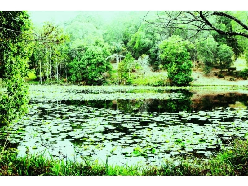 Lot 22 40 Raleigh Terrace, Currumbin Waters QLD 4223
