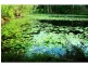 Lot 22 40 Raleigh Terrace, Currumbin Waters QLD 4223