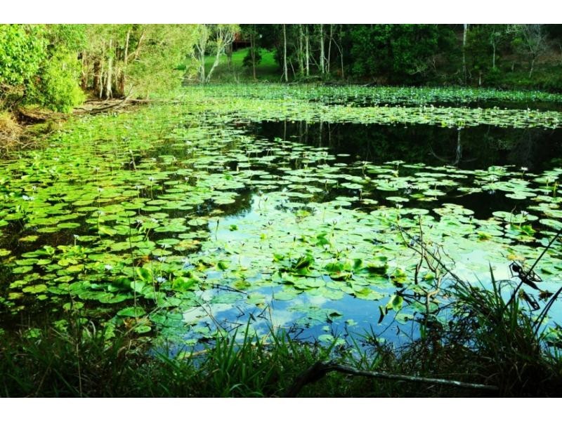Lot 22 40 Raleigh Terrace, Currumbin Waters QLD 4223