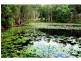 Lot 22 40 Raleigh Terrace, Currumbin Waters QLD 4223
