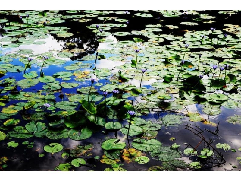 Lot 22 40 Raleigh Terrace, Currumbin Waters QLD 4223