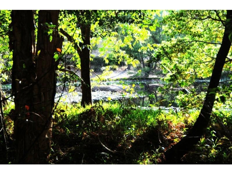 Lot 22 40 Raleigh Terrace, Currumbin Waters QLD 4223