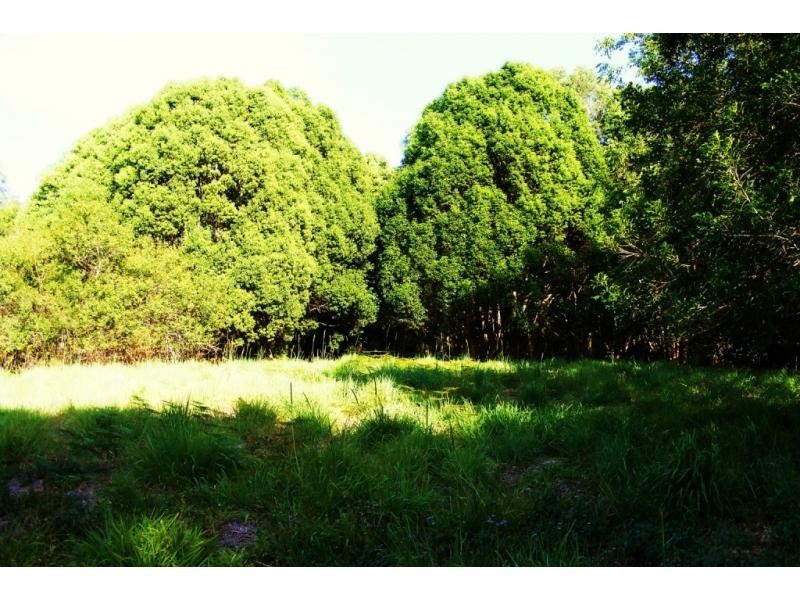 Lot 22 40 Raleigh Terrace, Currumbin Waters QLD 4223