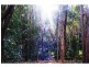 Lot 22 40 Raleigh Terrace, Currumbin Waters QLD 4223