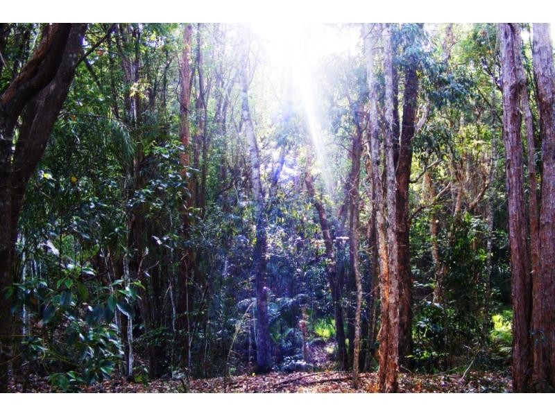 Lot 22 40 Raleigh Terrace, Currumbin Waters QLD 4223