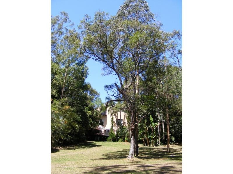 13 Carricks Road, Springbrook QLD 4213