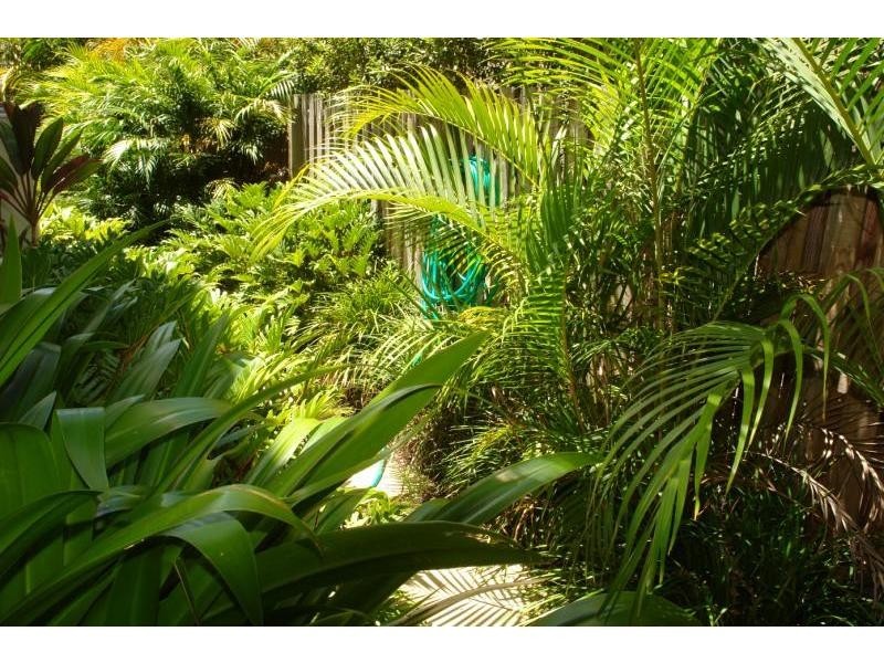 1/60 Bayview Street, Runaway Bay QLD 4216