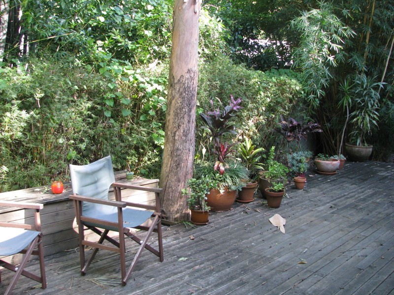 1 Blueberry Court, Byron Bay NSW 2481