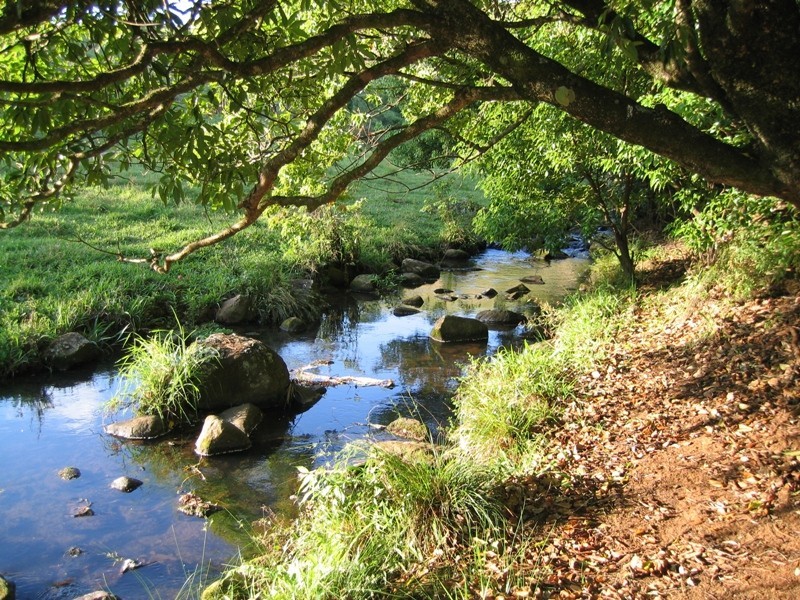 Lot 6/176 Fowlers Lane, Possum Creek NSW 2479