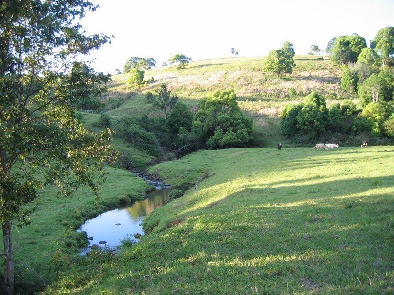 Lot 6/176 Fowlers Lane, Possum Creek NSW 2479