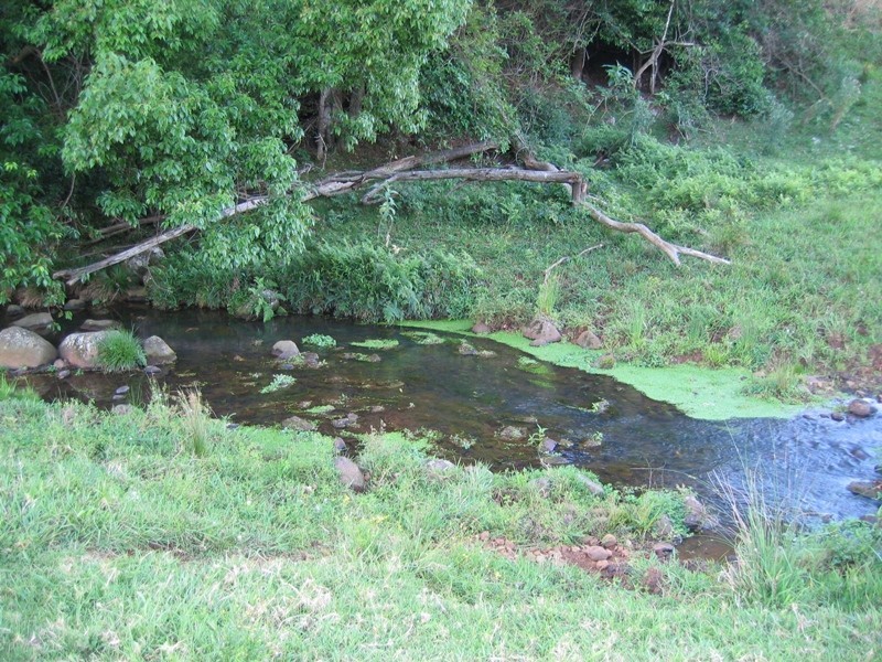 Lot 6/176 Fowlers Lane, Possum Creek NSW 2479