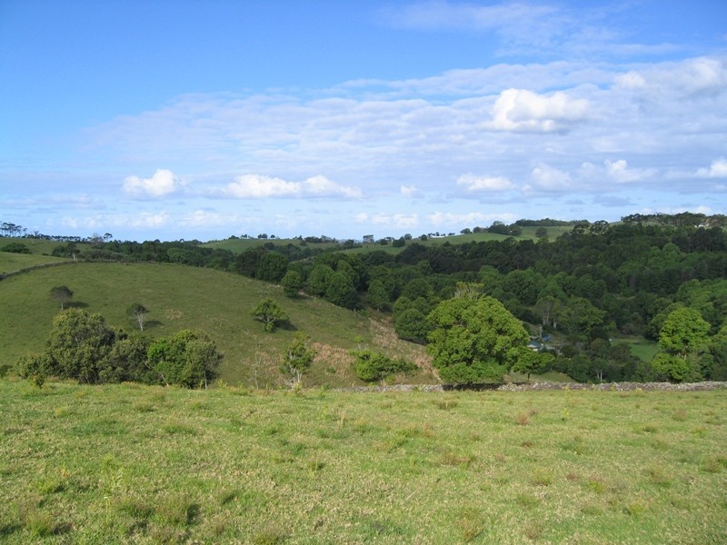 Lot 6/176 Fowlers Lane, Possum Creek NSW 2479