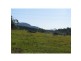 Lot 170-171 Tuckeroo Avenue, Mullumbimby NSW 2482