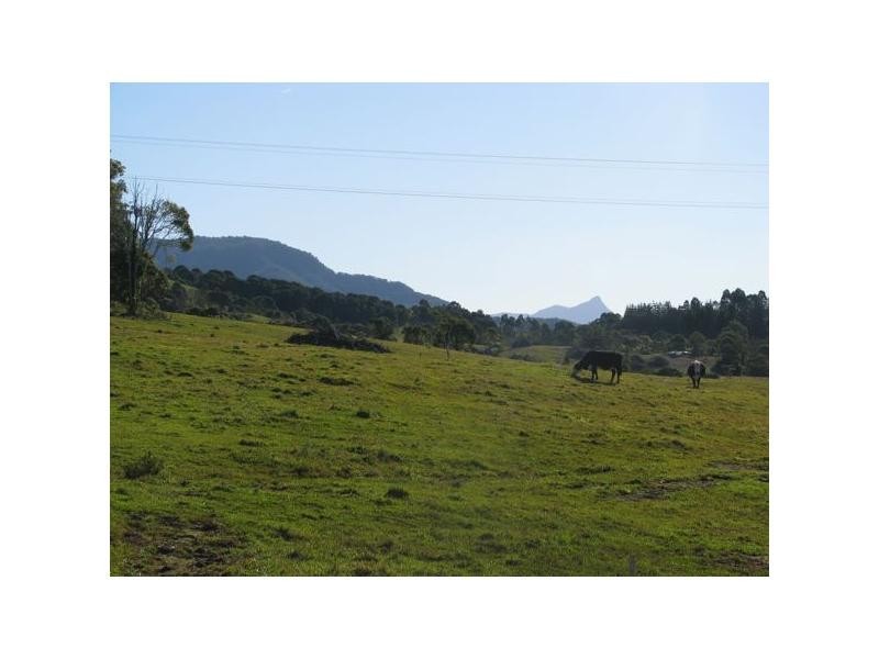 Lot 170-171 Tuckeroo Avenue, Mullumbimby NSW 2482