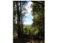 Byron Bay NSW 2481