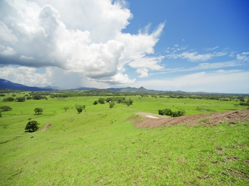 1344 Coolamon Scenic Drive, Montecollum NSW 2482