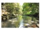 684 Left Bank Road, Mullumbimby NSW 2482