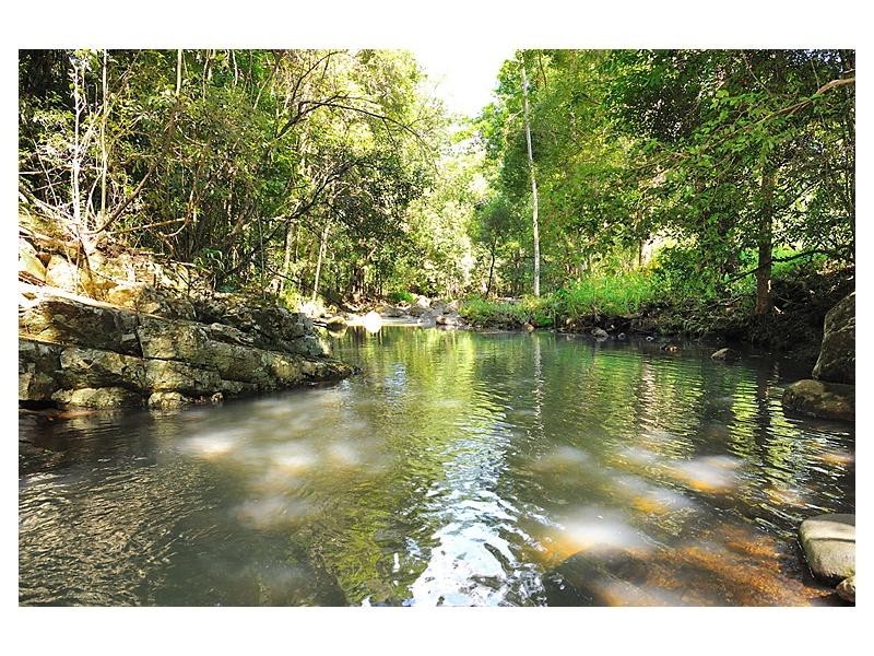 684 Left Bank Road, Mullumbimby NSW 2482