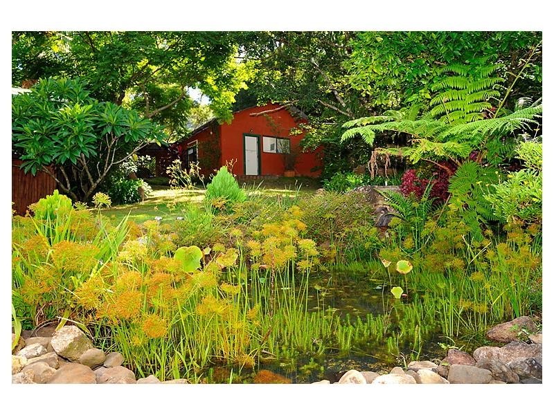 684 Left Bank Road, Mullumbimby NSW 2482
