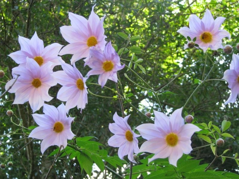 169 Huonbrook Road, Mullumbimby NSW 2482