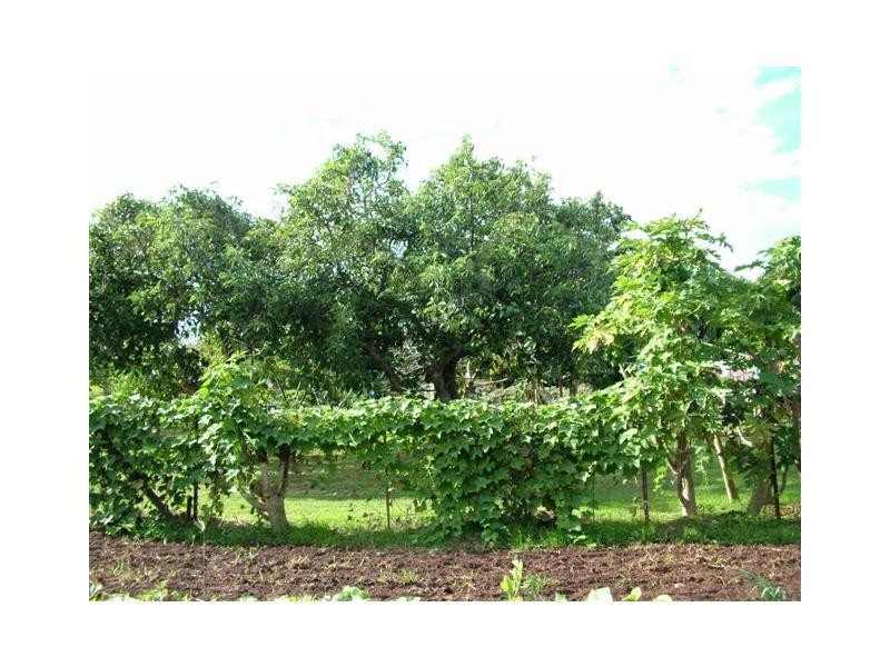 Bundaberg North QLD 4670