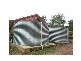 South Kolan QLD 4670