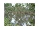 South Kolan QLD 4670