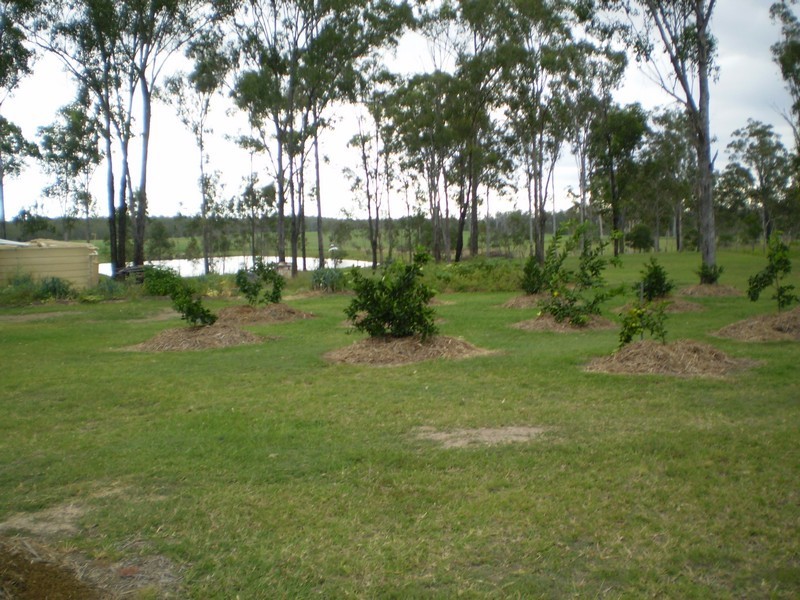 Bundaberg QLD 4670