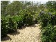 Gin Gin QLD 4671