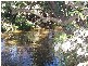 Bundaberg QLD 4670