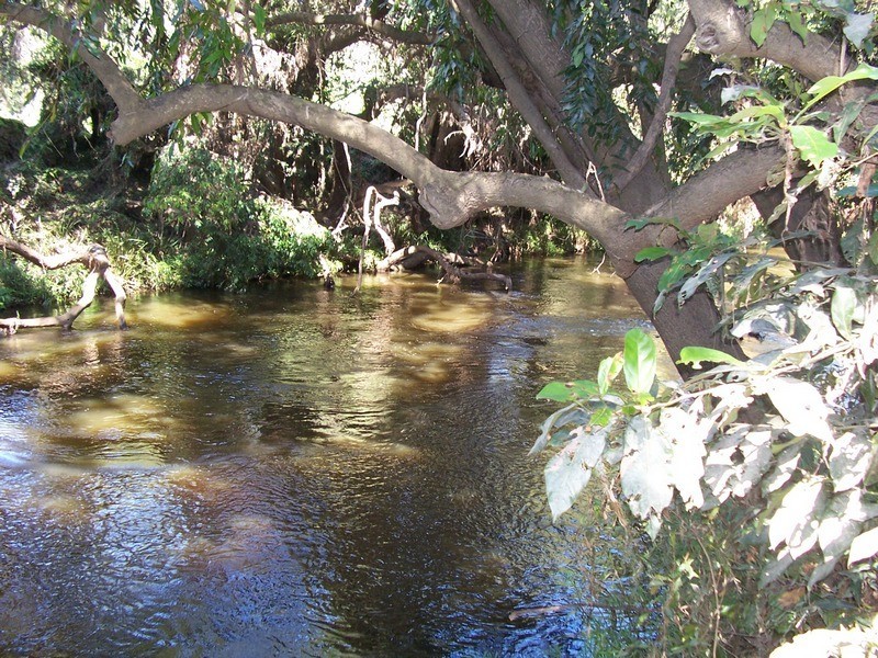 Bundaberg QLD 4670