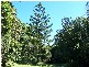 Bundaberg QLD 4670