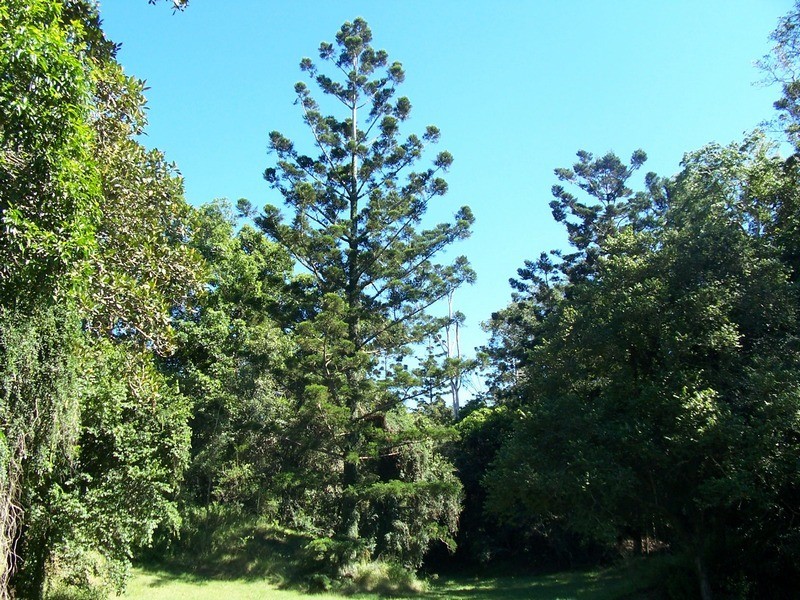 Bundaberg QLD 4670
