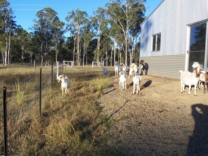 Bundaberg QLD 4670