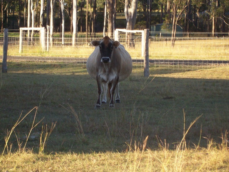 Bundaberg QLD 4670