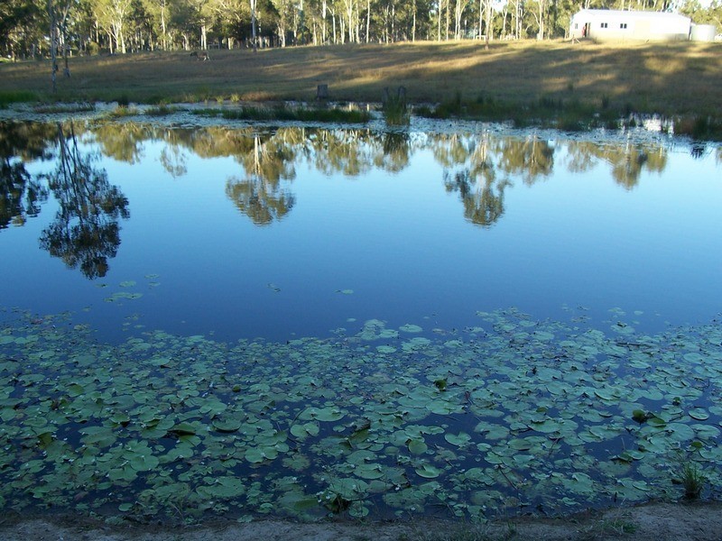 Bundaberg QLD 4670
