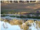 Bundaberg QLD 4670