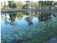 Bundaberg QLD 4670