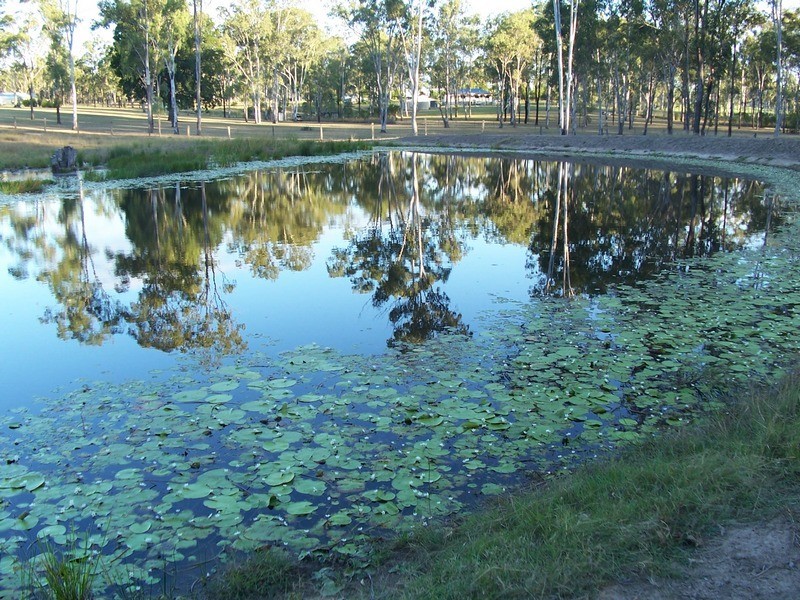 Bundaberg QLD 4670