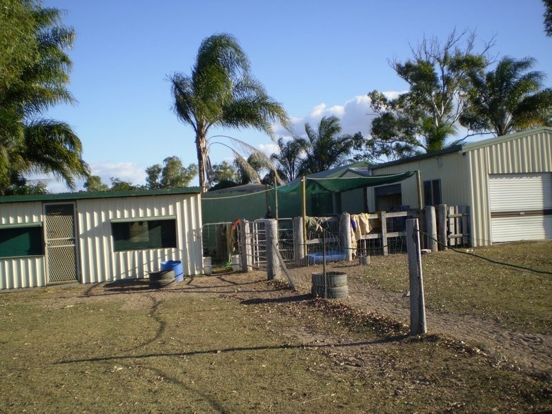 South Kolan QLD 4670