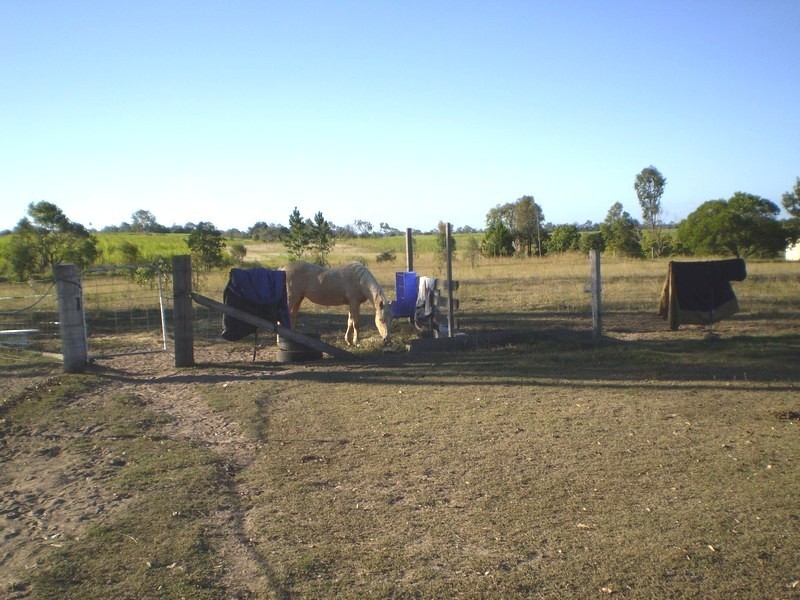 South Kolan QLD 4670