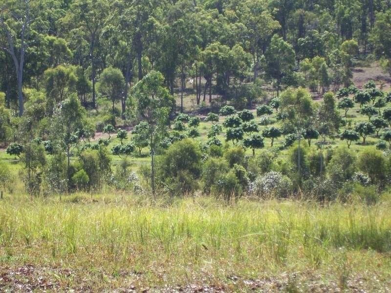 Bundaberg QLD 4670