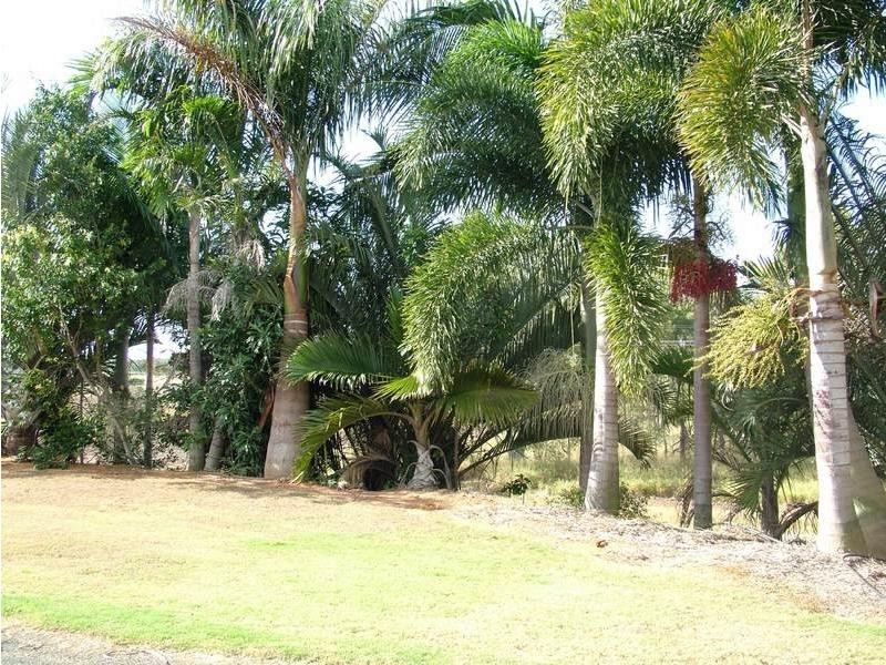 Bundaberg QLD 4670