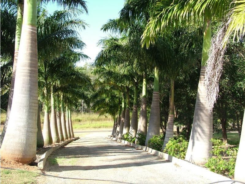 Bundaberg QLD 4670