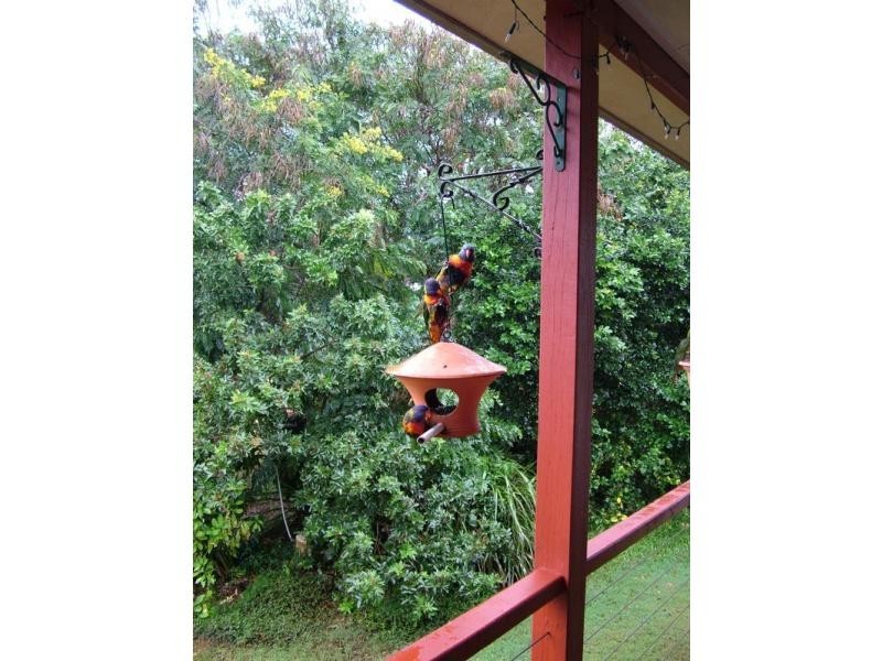 Bucca QLD 4670